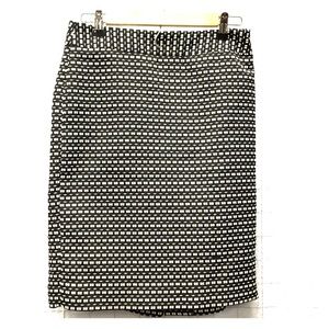 Ann Taylor embroidered skirt size 4